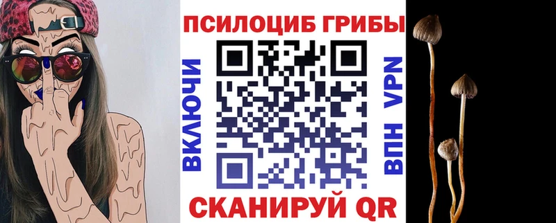 купить наркотики сайты  гидра tor  Галлюциногенные грибы Psilocybe  Тарко-Сале 